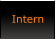 Intern