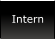 Intern